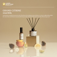 (Not For Sale) LUXURY HOTEL REED DIFFUSER (ลักซ์ชัวรี่โฮเทล ก้านไม้หอมปรับอากาศ)