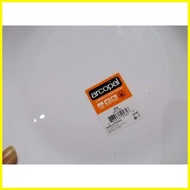 ✁ ❀ ❤ Onhand Arcopal dinner plates 9.75 inches Made in France