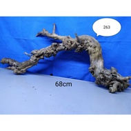 KAYU Sea Santigi Wood / Aquarium Sea Coral Sentigi Root