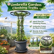 65/95/120/150/180/210cm Gardening Climbing Frame Plant Trellis Durable Umbrella Design Material Flow