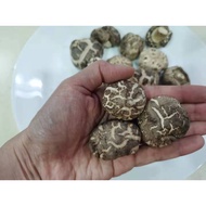 湖北茶花菇 Shitake Mushroom 200g