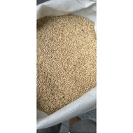 Coriander 100 gr Coriander Seed