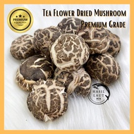仿木茶花菇 Tea Flower Dried Mushroom | Cendawan Kering [Premium Quality] (200g / 500g)