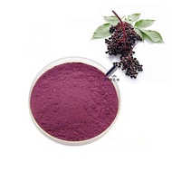Elderberry Powder Extract / Serbuk Ekstrak Elderberry - Food Grade - Supplement / Cosmetics / Antiox