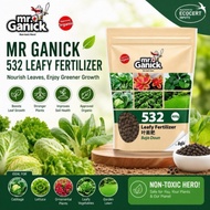 BABA Mr Ganick 532 Organic Leafy Fertilizer 400g