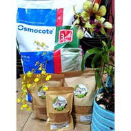 Baja Osmocote 14-14-14 Pelepasan Terkawal | Osmocote 14-14-14 Controlled Release Fertilizer (250G/50