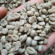 BIJI KOPI MENTAH 500gram ( Arabica / Liberica / Robusta / Excelsa )