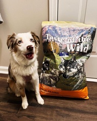 Thức ăn chó TASTE OF THE WILD [ BAO NGUYÊN SEAL 12.2kg] Vị bò rừng nai nướng cho chó con