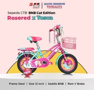 Sepeda Anak Cewek Perempuan CTB BNB Cat Edition Size 12 Inch Bonceng