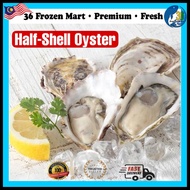 South Korea Oyster Half Shell Oyster Frozen Seafood