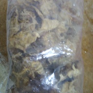 Fish maw fresh from sea