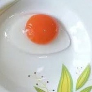 putih telur asin mentah sehat murah
