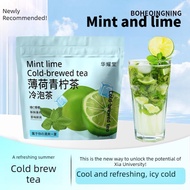 Cold Brew Fruit Tea 4 Flavors Mint Lime Pineapple Grape Cucumber Teh Buah Sejuk Triangle Bags Instan