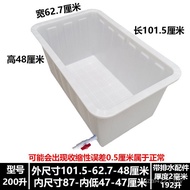 Turtle Drainage Turtle White Turtle Box Wholesale Cylinder Box Raising Large Size Turtle with Cylind