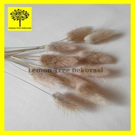 dried flower import phalaris lavender lagurus wheat gandum bunga asli - lagurus