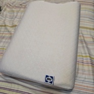 Sealy 枕頭 sealy pillow