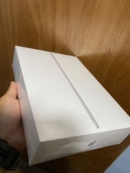 Apple iPad Air (第三代）256G