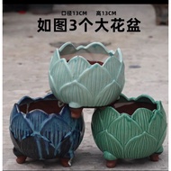 Ready stock ‼️ Ceramic Flower Pot /Set 花盆小花盆绿萝蝴蝶兰专用花盆多肉花盆