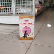👌 Promo Rc Mainecoon Kitten 400gr - Royal Canin Mainecoon