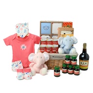 FarEastFlora.com - Baby Hamper - First Hugs - BH43
