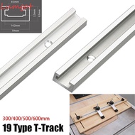 MERY 1Pcs T-Track, 300-600mm T Slider Fixture Slot Slide T-Slot Track,  19 Type 19x9.5mm Slide Guide
