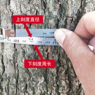Horizontal Stainless Steel Tree Measurement Steel Circumference Ruler Diameter Ruler Mini Tape Measu