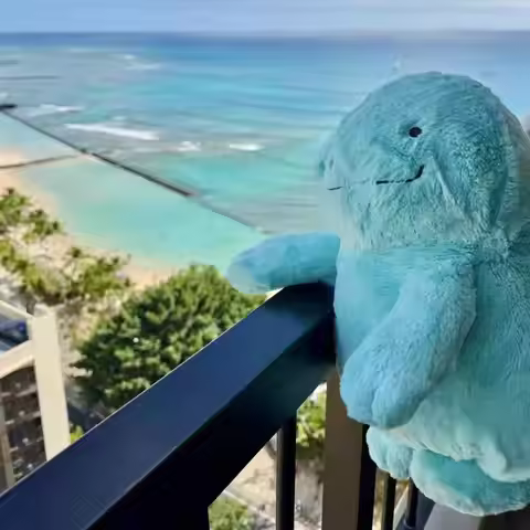 Pokemon Quagsire Wooper Plush Toys Pokémon Anime Plushie Dolls 25-60cm Kawaii Soft Pillows Stuffed B