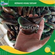 Kerang Hijau SEGAR / Kerang ijo fresh - Kerang Hijau Seafood - Kerang Hijau 500gr