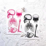 Blackpink X-Ray 裝飾紙