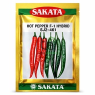 Benih Cili Besar Sakata 461 Hibrid F1  (10gm)