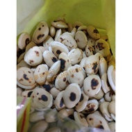 Baked Whit Hyacinth Bean 炒扁豆 100g Cao Bian Dou