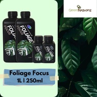 GHZ Foliage Focus 1L | 250ML