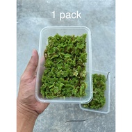 Azolla Floating Weed Grade A