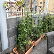 Gardening Vine Climbing Flower Stand Balcony Potted Stand Iron Indoor Chinese Rose Clematis Lattice Outdoor-Plant Support / Garden Trellis / Garden Stakes Plant Sturdy Connector Fixed Rod Climbing Pole Joint