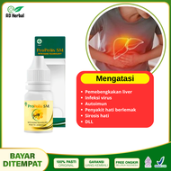 obat liver bengkak pembengkakan pada liver Limpa Hepatitis A B C Sirosis Propolis SM