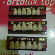 ortolux gigi palsu warna 59 anterior depan atas