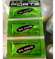 ZPT Big Grow FORTE 1 GRAM KECIL - 1 Sachet