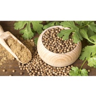 KETUMBAR CORIANDER Seed CORIANDER SEEDS 100 GR