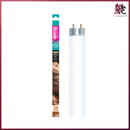 ARCADIA - Arcadia T8 12% UVB 沙漠型爬蟲燈管 18W 600mm #RFD3P18