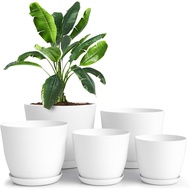 Utopia Home Plant Pots Indoor with Drainage Holes – Set of 5  Plastic Flower Pots (7/6.6/6/5.3/4.8 I