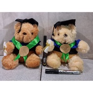 Graduation Teddy Bear//Graduation Hat Bear//Bear//Graduation
