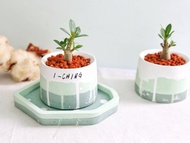 小沙漠玫瑰 • 森系線條水泥盆栽 可客製英文字母