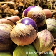 Colorful Mushroom Lady Fruit Seeds Big Fruit Milk Sweet Big Lady Fruit Seeds Fruit Seeds Original Ve