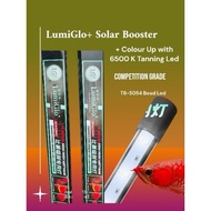 LUMIGLO+ T8 Competition Grade Aquarium Led Light LG + Solar Booster Effect Special For Arowana Goldf
