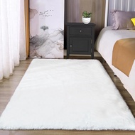 Latepis Washable Rugs 3x5 White Fluffy Shag Rug Shaggy Rug for Living Room Super Soft Area Rugs for 