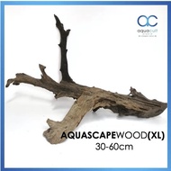 Aquascape Wood XL ( Aquarium / Aquascape / Paludarium / Terrarium / Wood )