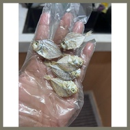 ☬ ∇ ℡ Small Sapsap dried fish from Bicol 100 grams