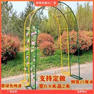 Wholesale Simple Wrought Iron Arch Flower Stand Lattice Climbing Frame Grape Arch Rose Chinese Rose Garden Gardening Dir
