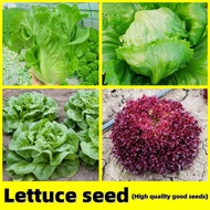 Lettuce Seeds - Green Rapid Lettuce Seeds for Planting Vegetables Fast Growing Seeds for Begginers V