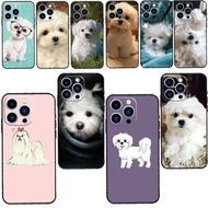 Maltese Dog Puppy Cute For IPhone 14 13 Pro Max 12 Mini 11 Pro Max 6 7 8 Plus XS XR Max SE Cover LH2